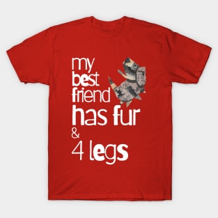 My Best Friend Has Fur and Four Legs T-Shirt